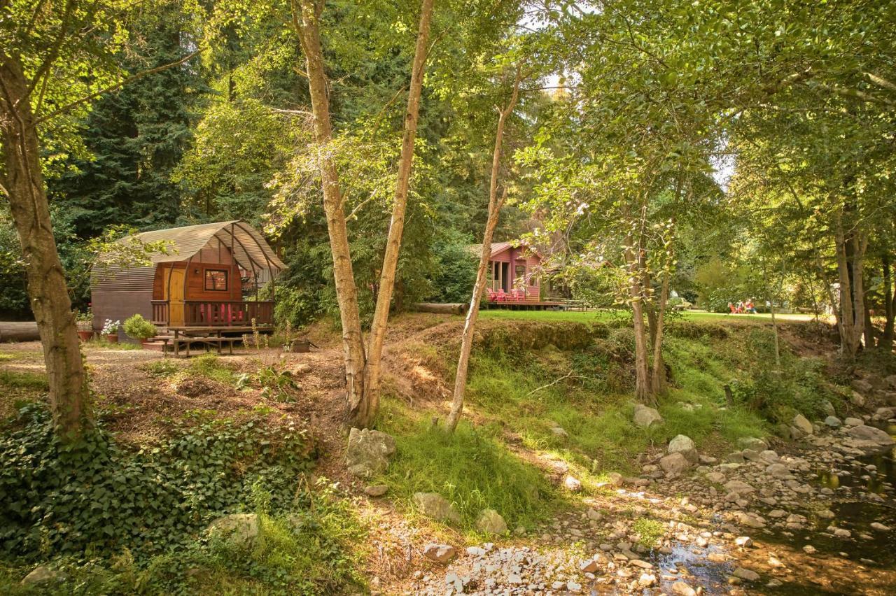 Big Sur Campground And Cabins Zewnętrze zdjęcie