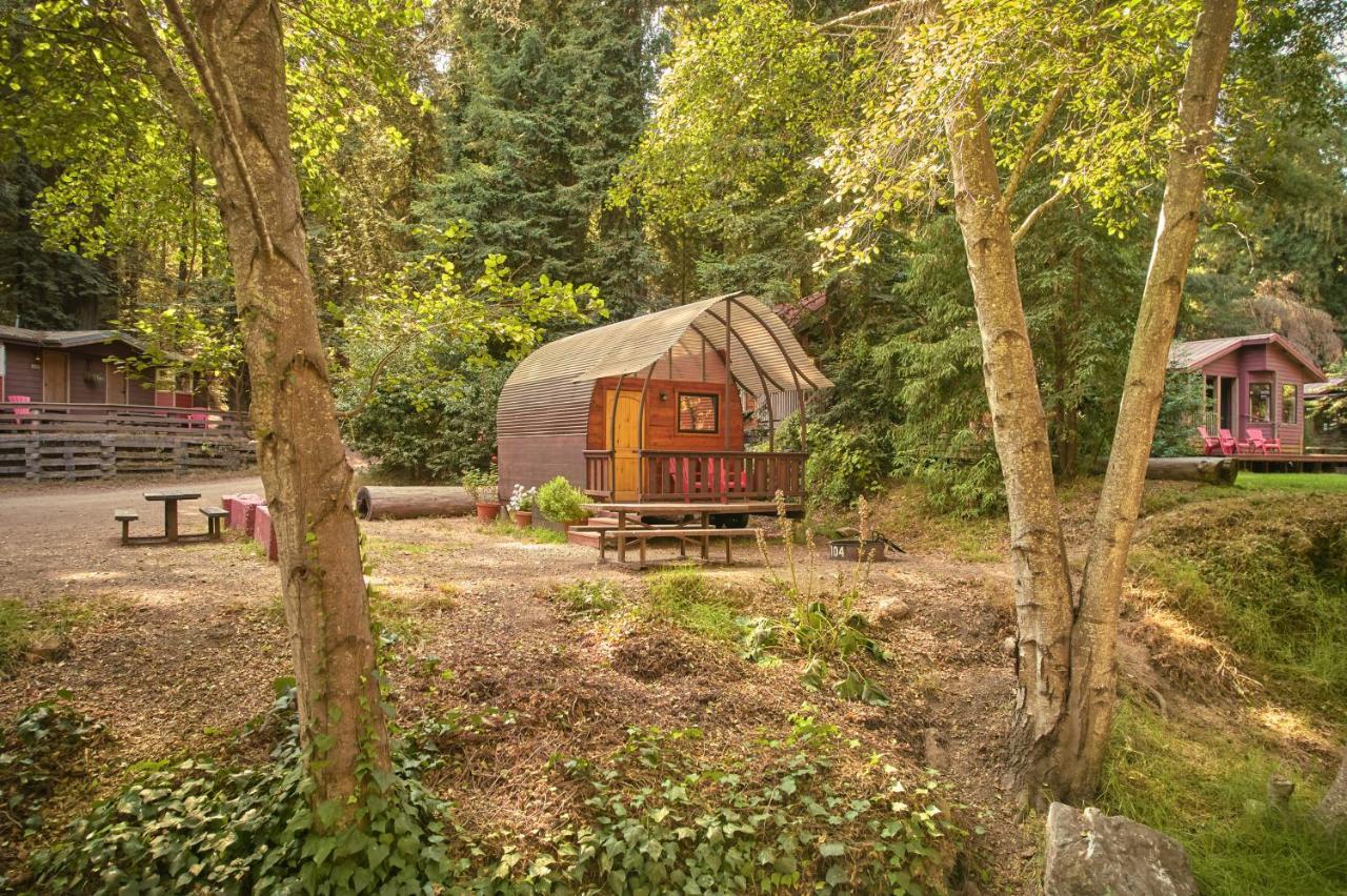 Big Sur Campground And Cabins Zewnętrze zdjęcie